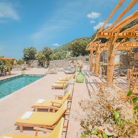 Residence De Luxe 4 Etoiles A Pietralba, 4 Logements Piscine Chauffee Balagne Exteriör bild