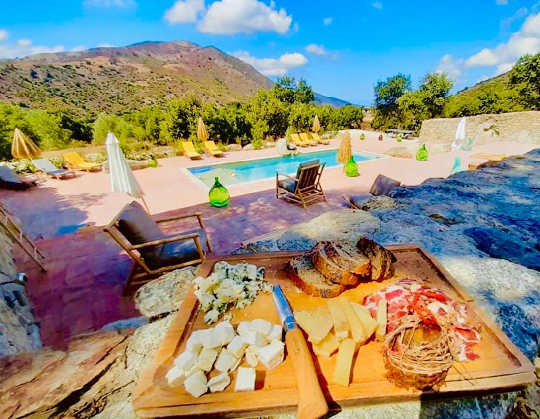 Residence De Luxe 4 Etoiles A Pietralba, 4 Logements Piscine Chauffee Balagne Exteriör bild