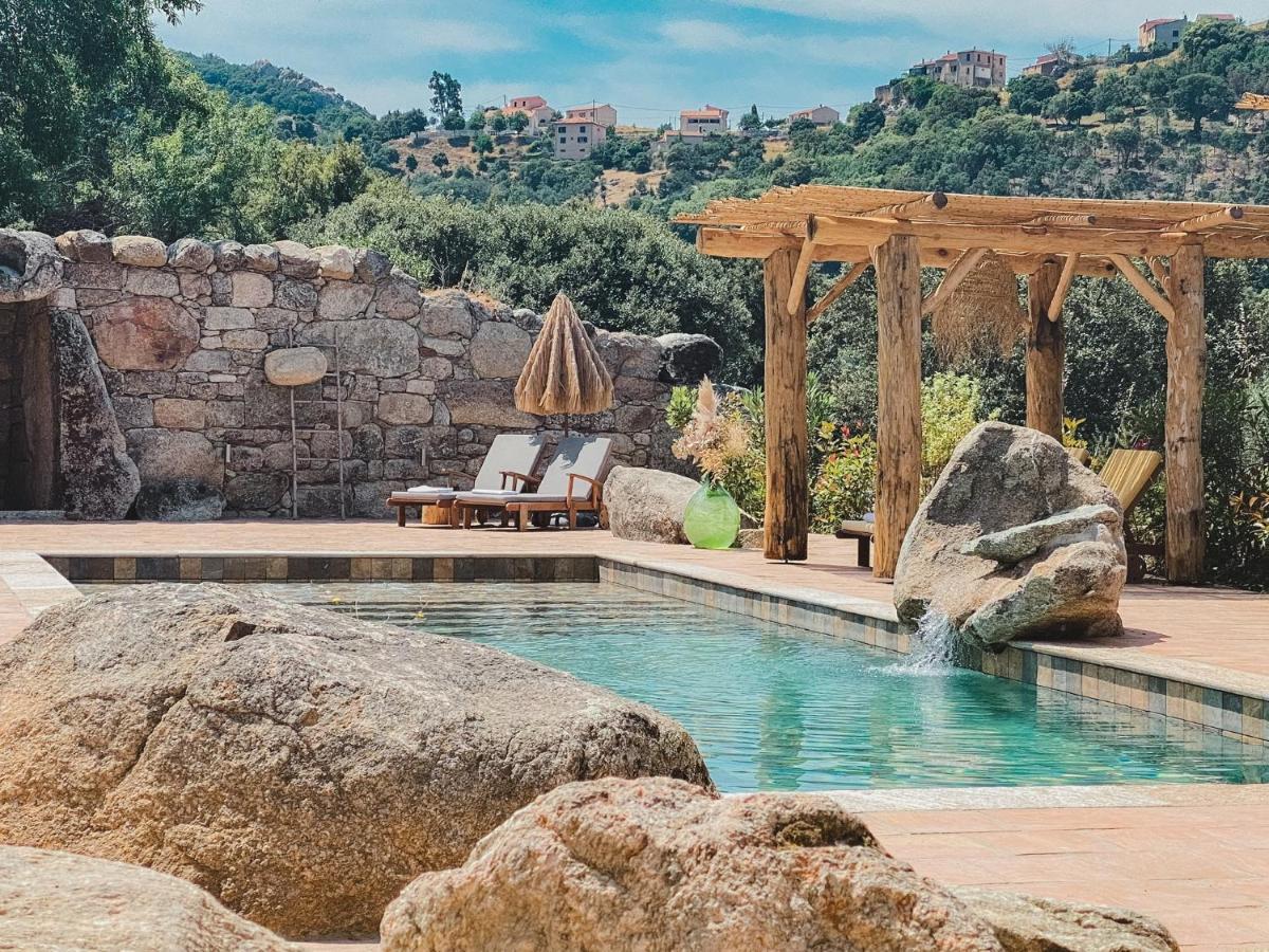 Residence De Luxe 4 Etoiles A Pietralba, 4 Logements Piscine Chauffee Balagne Exteriör bild