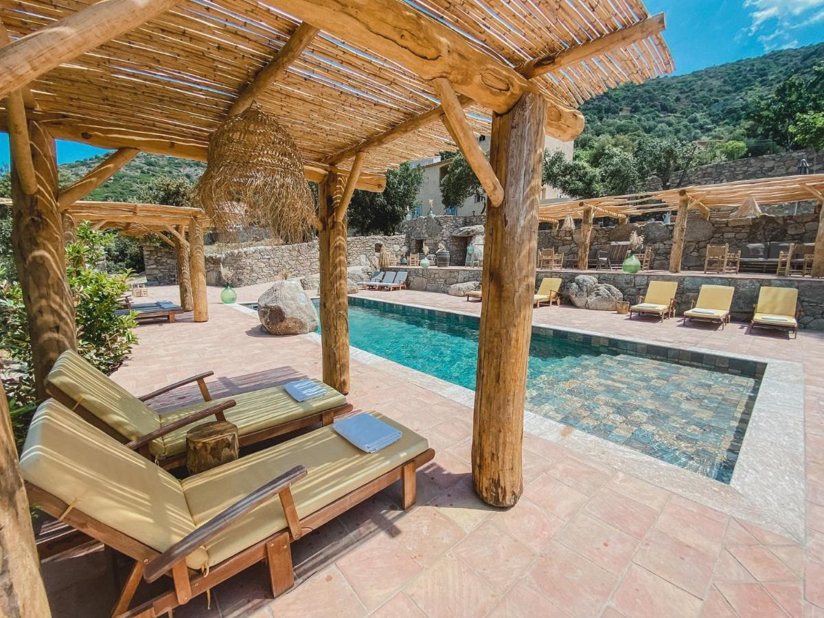 Residence De Luxe 4 Etoiles A Pietralba, 4 Logements Piscine Chauffee Balagne Exteriör bild