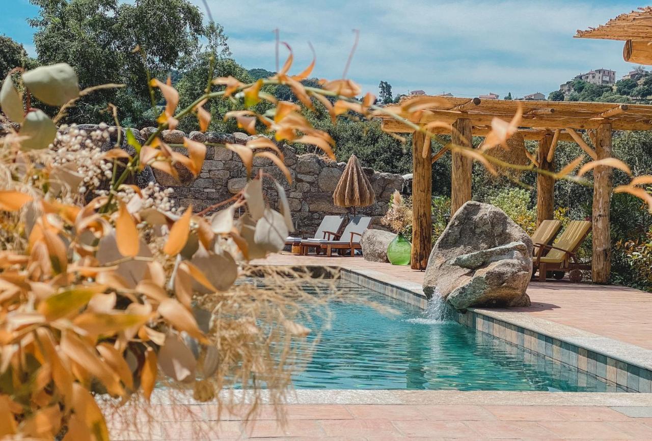 Residence De Luxe 4 Etoiles A Pietralba, 4 Logements Piscine Chauffee Balagne Exteriör bild