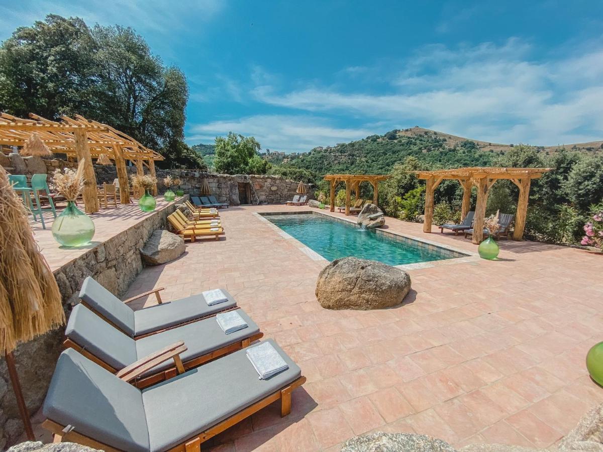 Residence De Luxe 4 Etoiles A Pietralba, 4 Logements Piscine Chauffee Balagne Exteriör bild