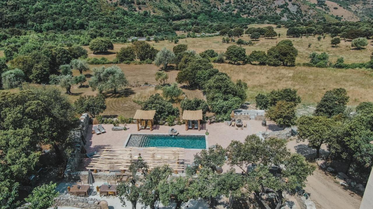 Residence De Luxe 4 Etoiles A Pietralba, 4 Logements Piscine Chauffee Balagne Exteriör bild