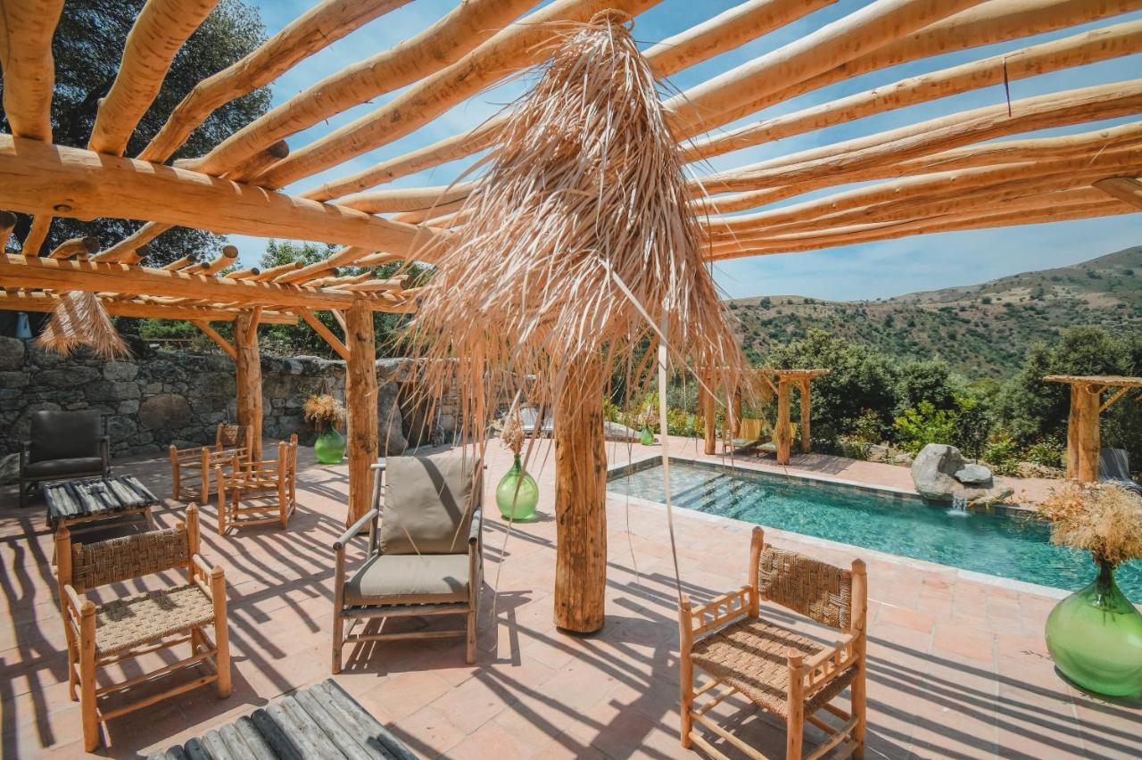 Residence De Luxe 4 Etoiles A Pietralba, 4 Logements Piscine Chauffee Balagne Exteriör bild