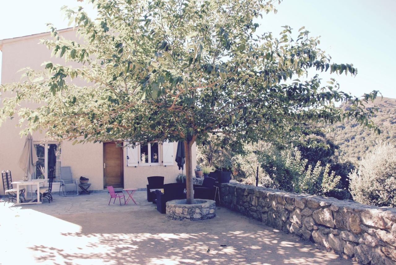 Residence De Luxe 4 Etoiles A Pietralba, 4 Logements Piscine Chauffee Balagne Exteriör bild